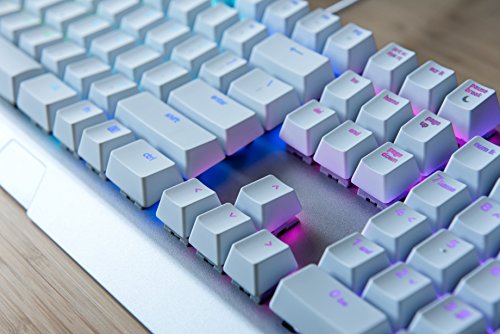 Razer BlackWidow X Chroma Mercury Edition - RGB Ergonomic Wired